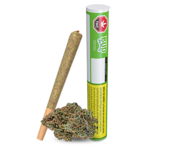 Pre-rolled – Bud Lafleur